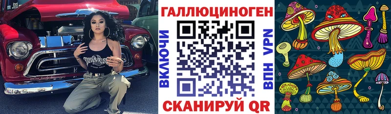 как найти наркотики  Грайворон  Галлюциногенные грибы MAGIC MUSHROOMS 